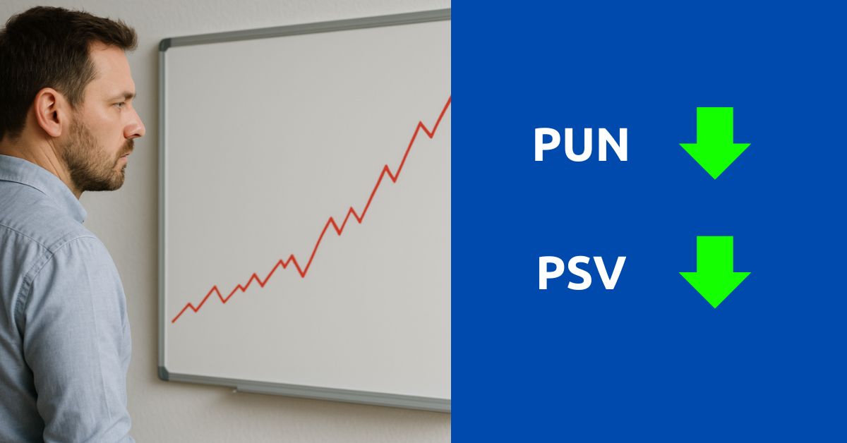 PUN down il 01/06