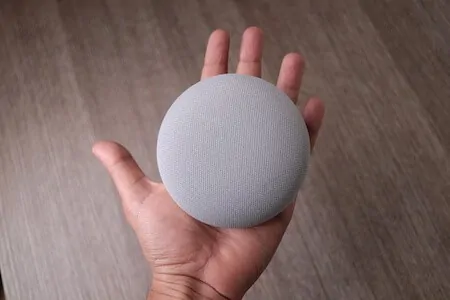 nest-mini-in-una-mano