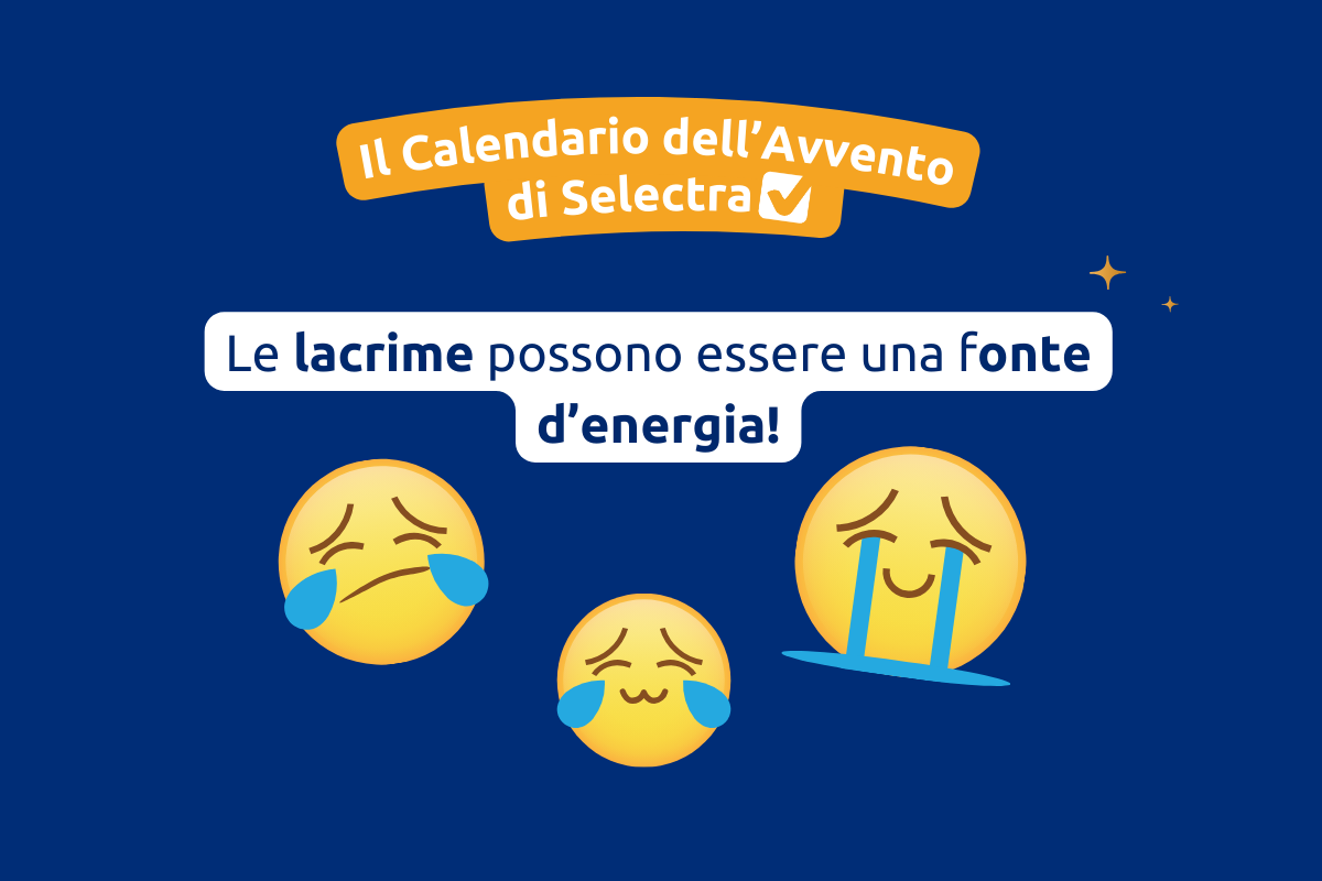 Servizio Elettrico Nazionale