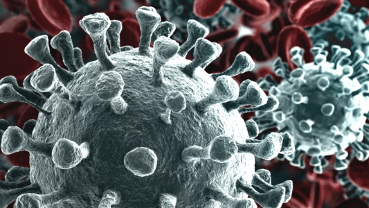 Coronavirus news con Alexa Amazon e Google Assistant