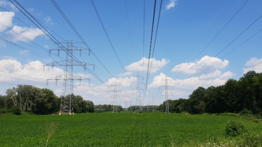 Terna: ammodernamento della rete elettrica per 600 milioni di euro.
