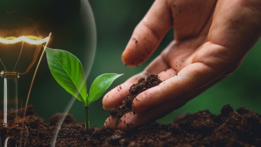 compensazione carbonio