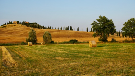 Allacciamento luce per una terreno agricolo: quando richiederlo?