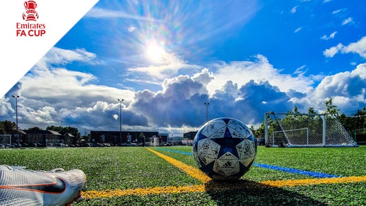 fa-cup-dove-vederla
