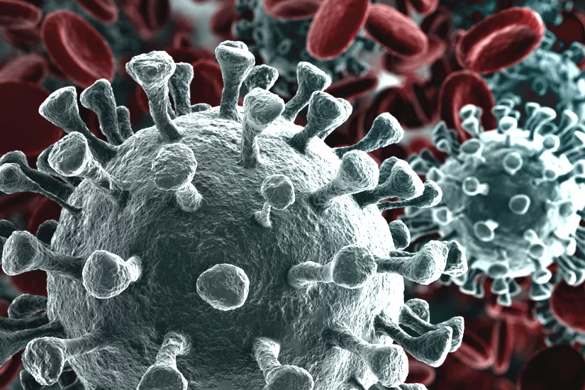 Coronavirus news con Alexa Amazon e Google Assistant