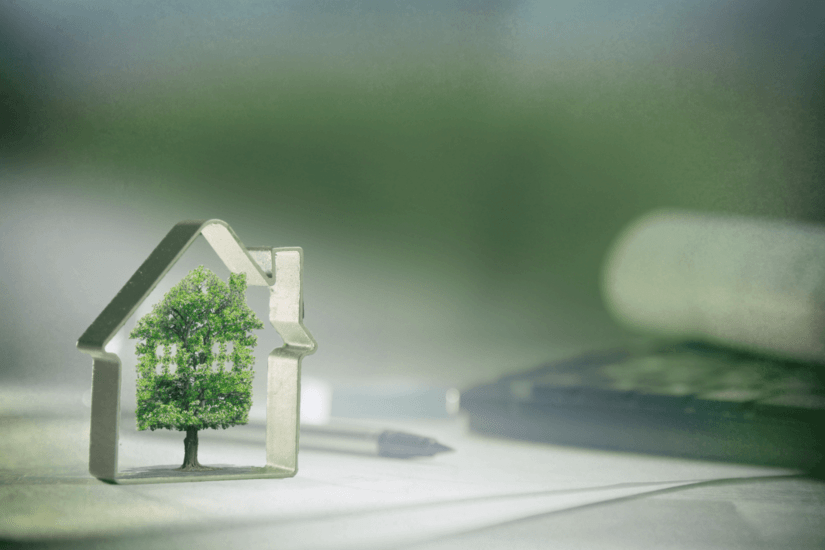 Che cos'è un'offerta verde e quali sono le migliori del momento?