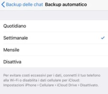 Frequenza Backup di WhatsApp su iOS Frequenza Backup di WhatsApp su iOS